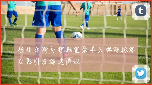 胡梅尔斯与穆勒重聚羊头牌锦标赛合影引发球迷热议
