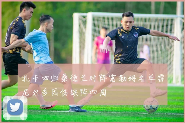 扎卡回归桑德兰对阵富勒姆名单雷尼尔多因伤缺阵四周