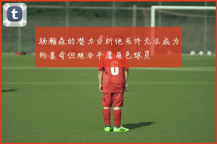 杨瀚森的潜力分析他或许无法成为约基奇但绝非平庸角色球员