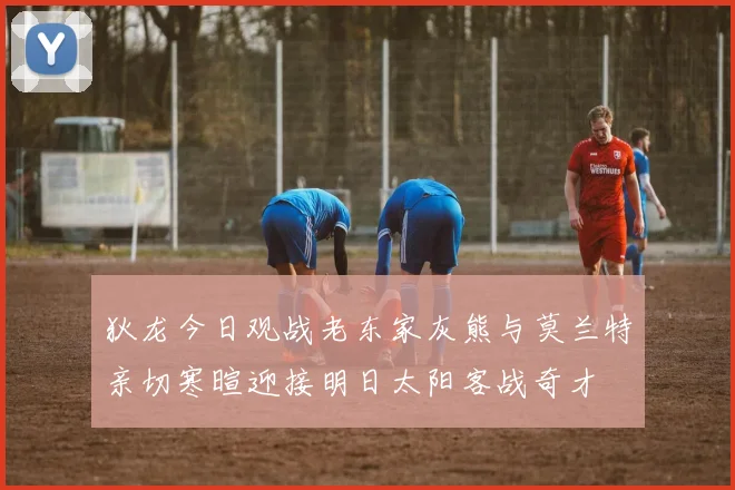 狄龙今日观战老东家灰熊与莫兰特亲切寒暄迎接明日太阳客战奇才