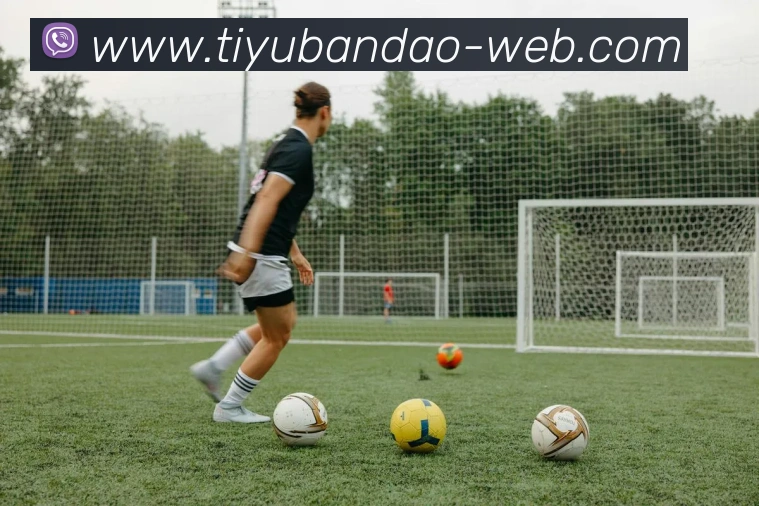 半岛体育平台生态图