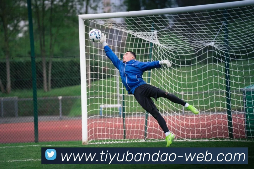 半岛体育APP 封面图